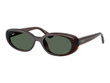 Ray-Ban RB4441D Sunglasses — Classic — Transparent Brown