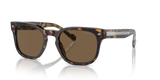 Vogue Eyewear VO5571S — Classic — Dark Havana / Dark Brown