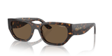Vogue Eyewear VO5586S — Classic — Dark Havana / Dark Brown