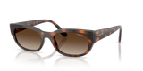 Vogue Eyewear VO5669S — Gradient — Total Dark Havana / Gradient Brown