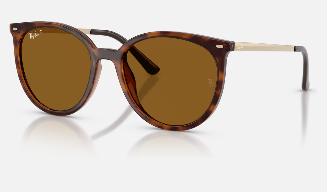 Ray-Ban RB4464L — Dark Havana / Dark Brown Polarized — quarter view
