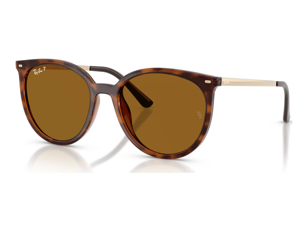 Ray-Ban RB4464L — Dark Havana / Dark Brown Polarized — quarter view