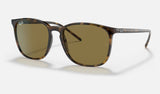 Ray-Ban RB4387 — Light Havana / B-15 Brown — quarter view