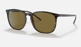 Ray-Ban RB4387F — Tortoise / Brown Classic — quarter view