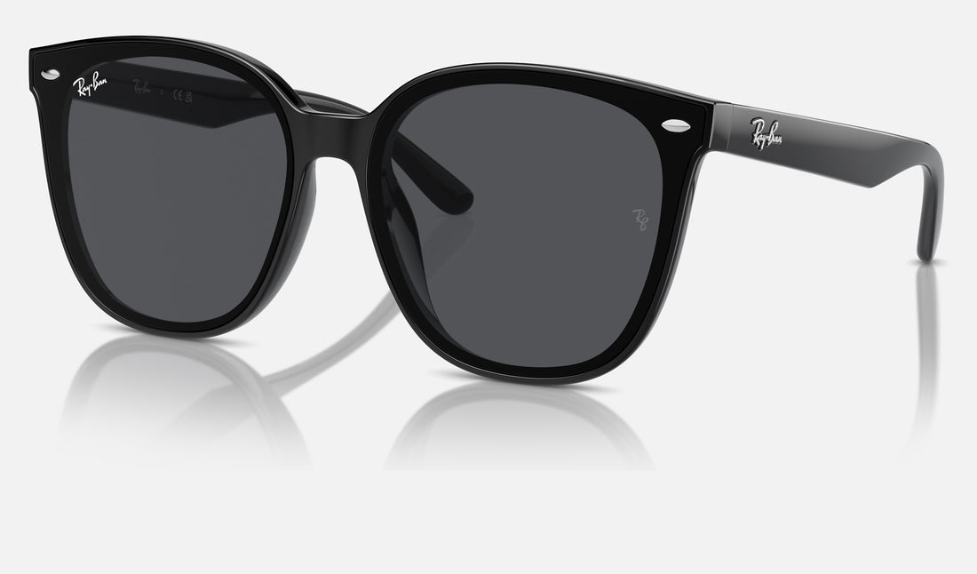 Ray-Ban RB4423D — Black / Dark Grey — quarter view