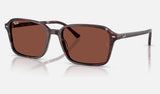 Ray-Ban Raimond RB2231 — Transparent Fantasy Violet & Red / Red — quarter view