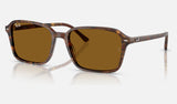 Ray-Ban Raimond RB2231 — Transparent Fantasy Brown / B-15 Brown — quarter view