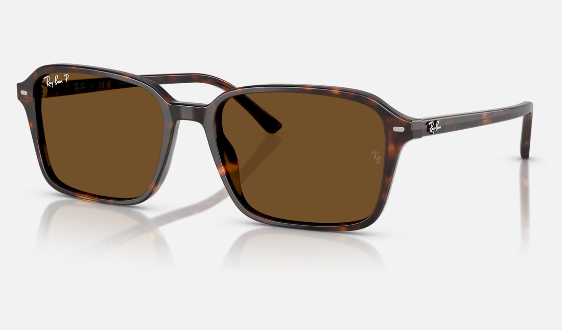 Ray-Ban Raimond RB2231 — Havana / Brown Polarized — quarter view