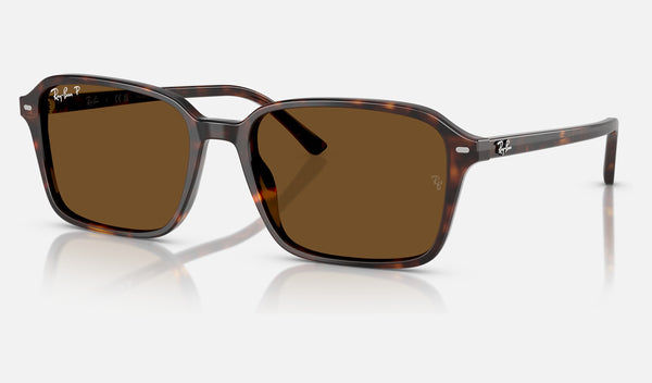 Ray-Ban Raimond RB2231 — Havana / Brown Polarized — quarter view