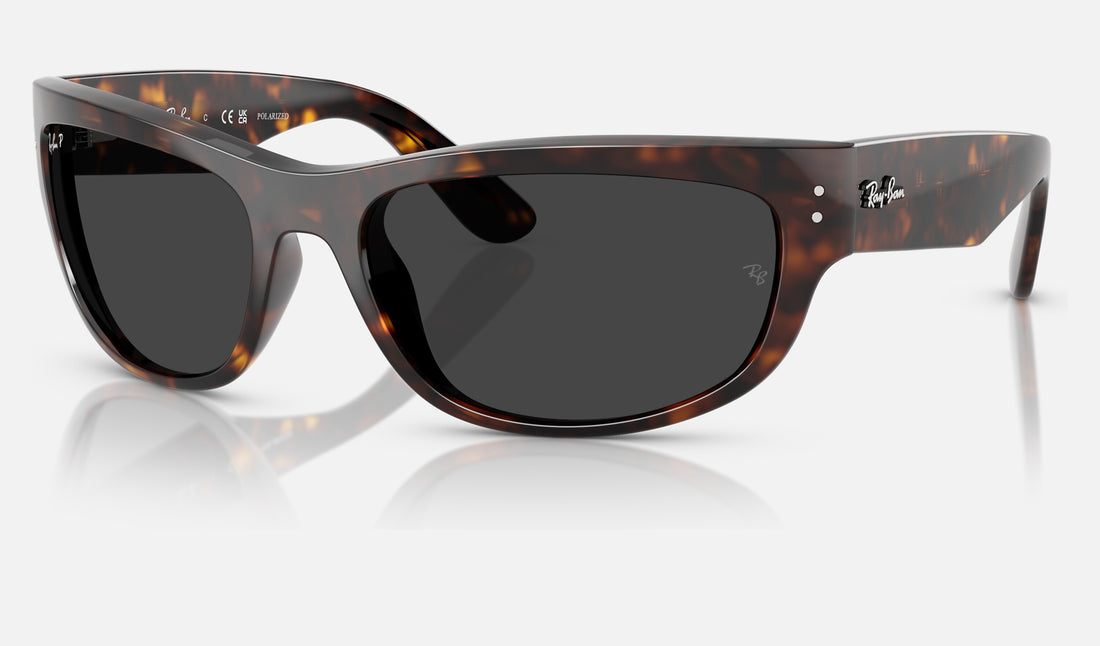Ray-Ban Mega Balorama RB2289 — Havana / Polarized Black — quarter view