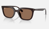 Ray-Ban RB4439D — Opal Brown / Dark Brown — quarter view