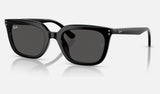 Ray-Ban RB4439D — Black / Dark Grey — quarter view