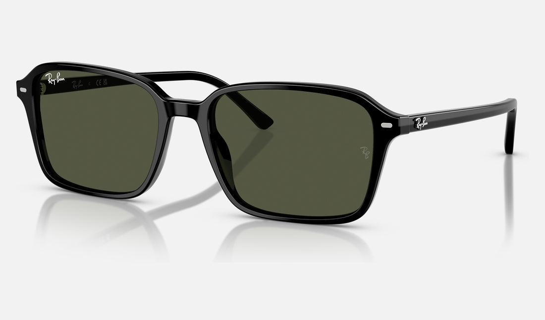 Ray-Ban Raimond RB2231F — Black / G-15 Green — quarter view