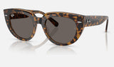 Ray-Ban Doreen RB2286F — Havana on Transparent Brown / Dark Grey — quarter view