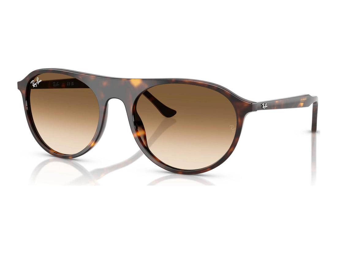 Ray-Ban RB2215F — Havana / Clear Gradient Brown — quarter view