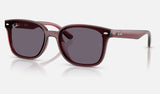 Ray-Ban RB4461D — Transparent Dark Brown / Violet — quarter view