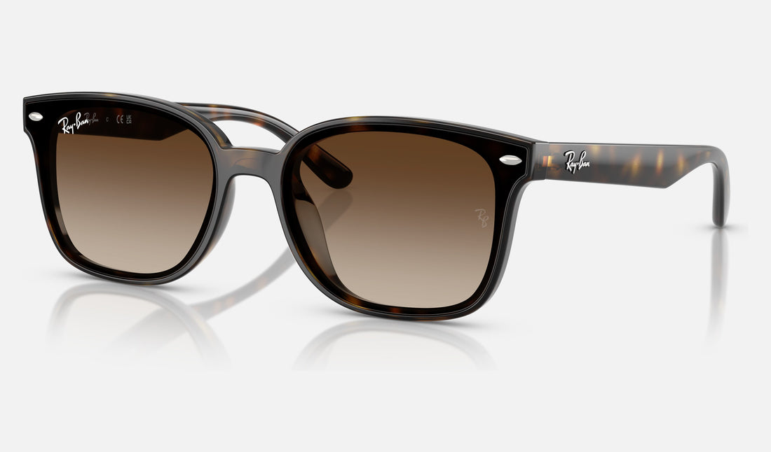 Ray-Ban RB4461D — Havana / Gradient Brown — quarter view