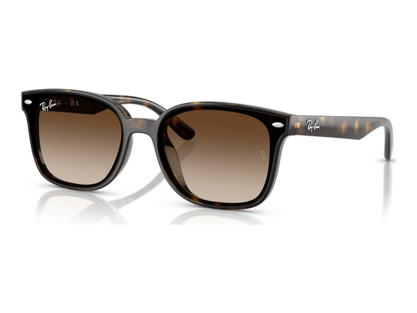 Ray-Ban RB4461D — Havana / Gradient Brown — quarter view