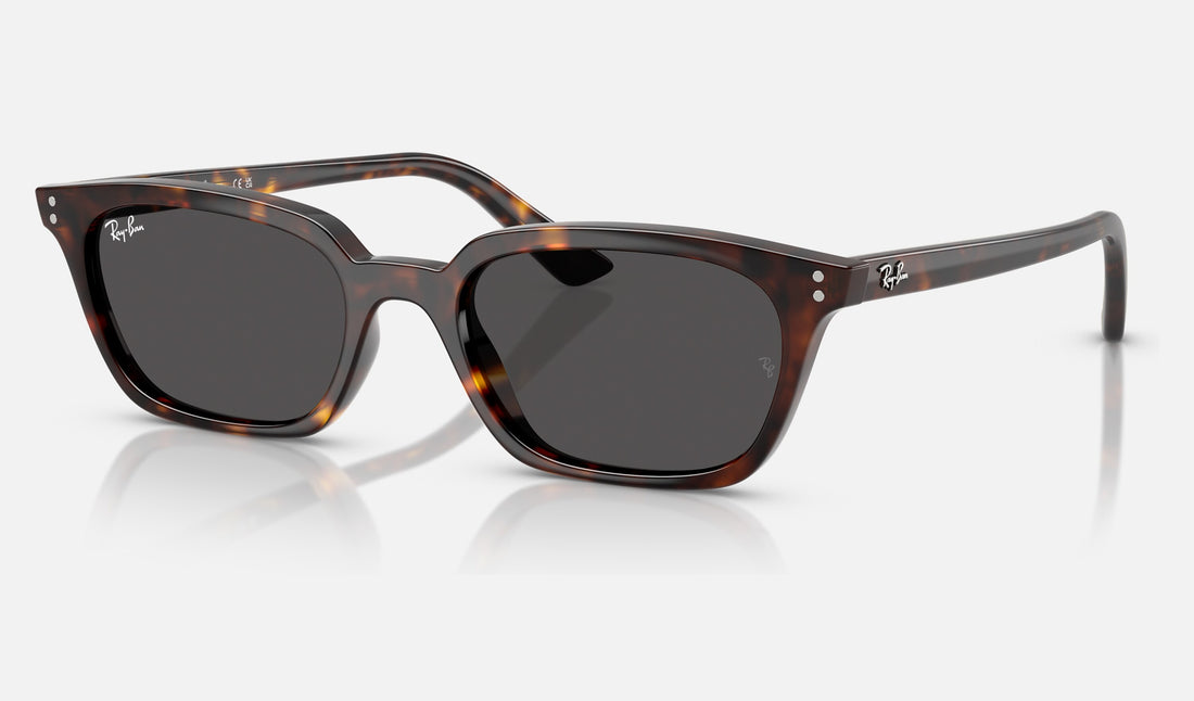 Ray-Ban Zaya RB4456F — Havana / Dark Grey — quarter view