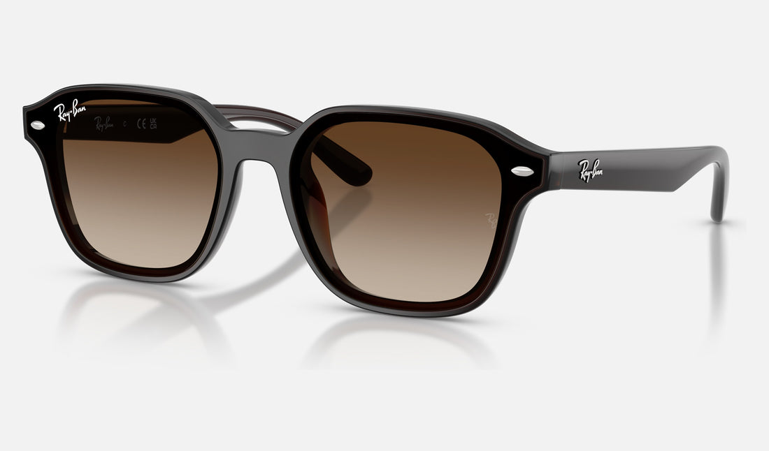 Ray-Ban RB4458D — Transparent Dark Brown / Gradient Brown — quarter view