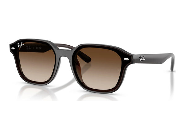 Ray-Ban RB4458D — Transparent Dark Brown / Gradient Brown — quarter view