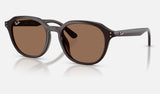 Ray-Ban RB4459D — Opal Brown / Dark Brown — quarter view