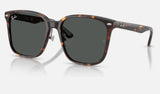 Ray-Ban RB2206D — Havana / Dark Grey — quarter view