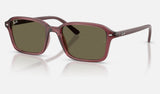 Ray-Ban Junior RJ9131S — Transparent Dark Violet / Brown — quarter view
