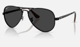 Ray-Ban Aviator Max RB3925 — Black / Black Polarized — quarter view