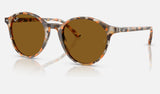 Ray-Ban Bernard RB2230 — Havana Grey & Brown / Brown — quarter view