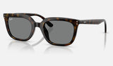 Ray-Ban RB4439D — Havana / Dark Grey — quarter view