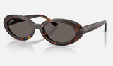 Ray-Ban RB2223 — Havana / Dark Grey — quarter view
