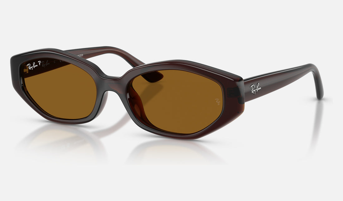 Ray-Ban RB4473D — Dark Brown / Dark Brown Polarized — quarter view