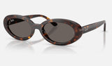 Ray-Ban RB2223F — Havana / Dark Grey — quarter view