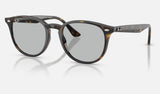 Ray-Ban RB4259F — Light Havana / Light Grey — quarter view