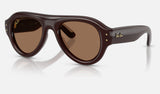 Ray-Ban RB4925 — Transparent Dark Brown / Dark Brown — quarter view