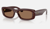 Ray-Ban RB4944 — Transparent Dark Brown / Dark Brown — quarter view