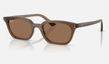 Ray-Ban Zaya RB4456 — Transparent Brown / Dark Brown — quarter view