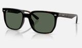 Ray-Ban RB4466D — Havana / Dark Green — quarter view