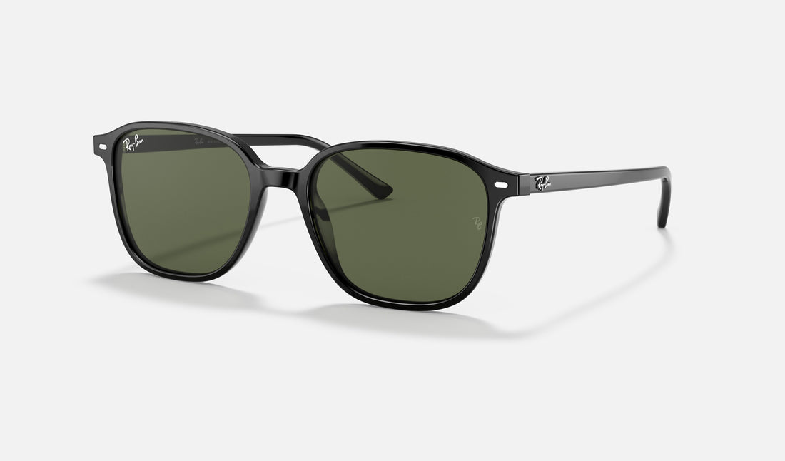 Ray-Ban Leonard RB2193 — Black / G-15 Green — quarter view