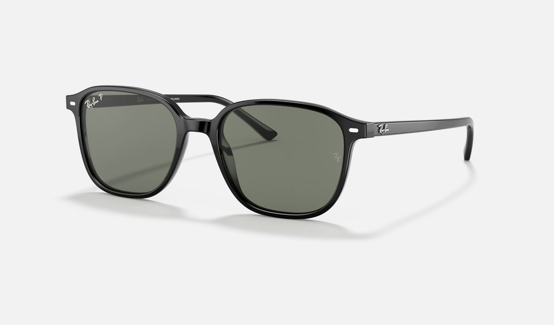 Ray-Ban Leonard RB2193 — Black / G-15 Green Polarized — quarter view