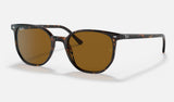 Ray-Ban Elliot RB2197 — Havana / Brown — quarter view