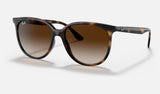 Ray-Ban RB4378 — Havana / Gradient Brown — quarter view