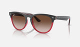 Ray-Ban Iris RB4471 — Grey on Transparent Red / Brown — quarter view