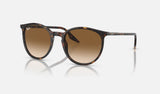 Ray-Ban RB2204 — Havana / Light Brown — quarter view